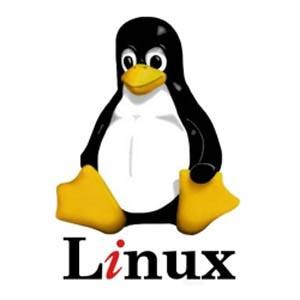 Easiest Linux Distro for Beginners: Which One to Learn?