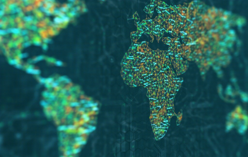 Blockchain in Africa: Lessons from Government Projects
