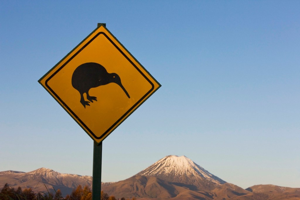 Fundraising for New Zealand Startups: Leveraging the 'Kiwi Card'