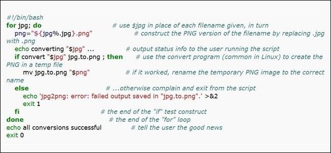Bash vs Sh: When to Use #!/bin/bash vs #!/bin/sh