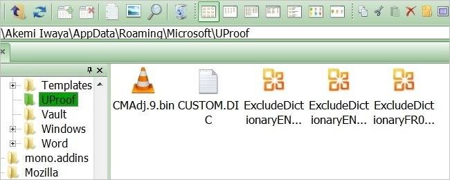 Microsoft Word Custom Dictionary Location - Find & Manage