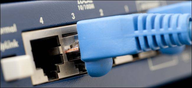 Network Plug Covers: Why Some Have Them and Others Don't